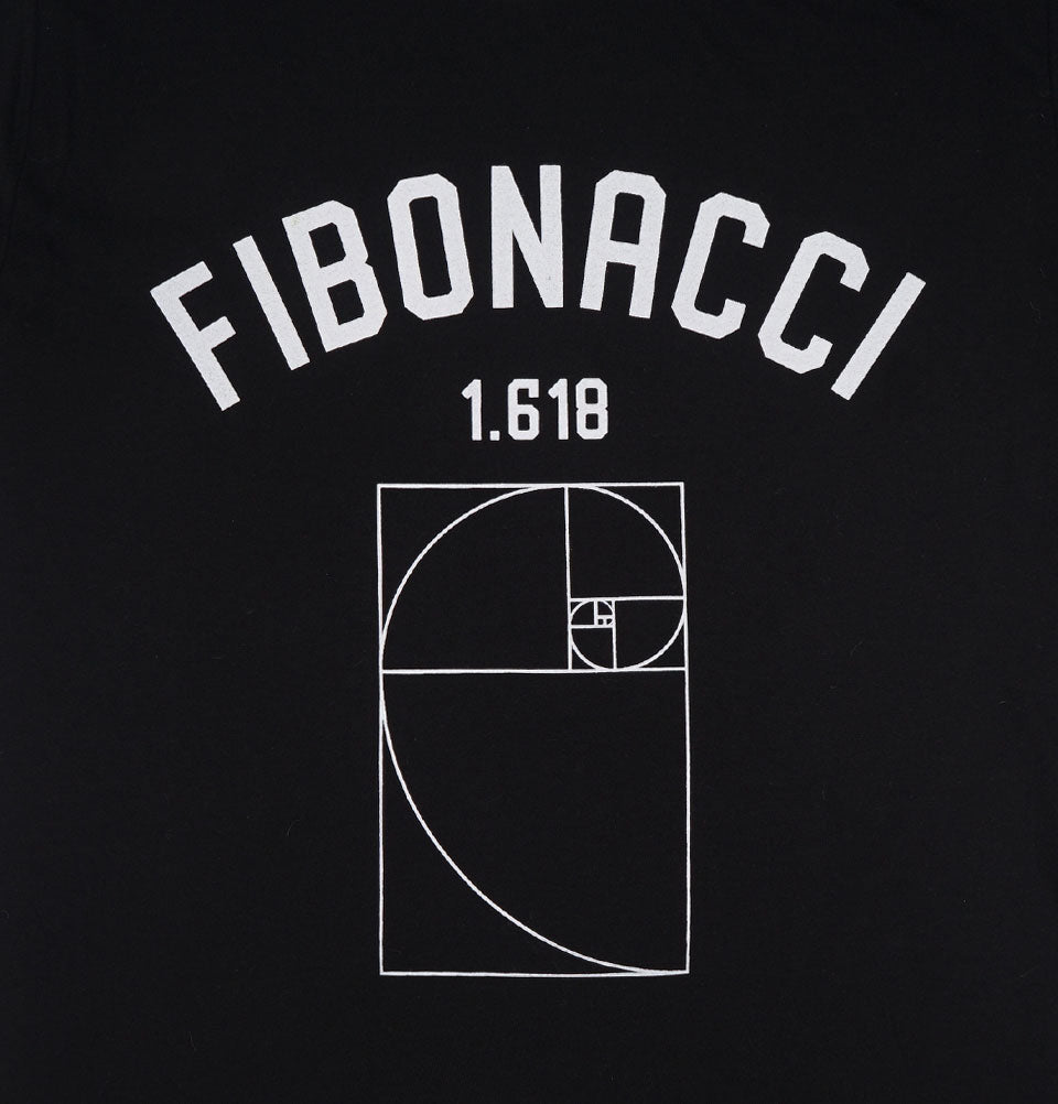 Golden ratio Fibonacci Unisex T-shirt